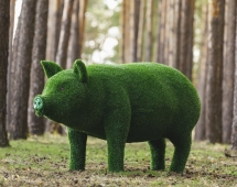 Топиари свинка Мама - газон Eco