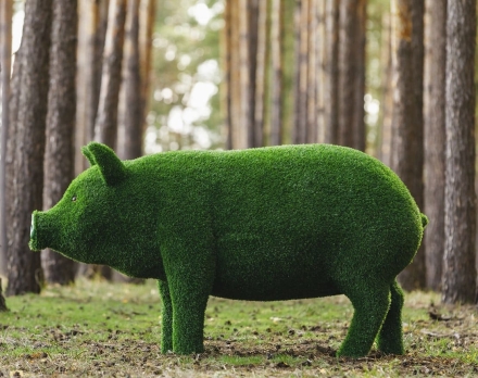 Топиари свинка Мама - газон Eco, фото 3