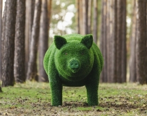 Топиари свинка Мама - газон Eco