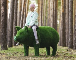 Топиари свинка Мама - газон Eco, фото 4