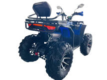 Квадроцикл MOTOLAND 300 Wild Track LUX