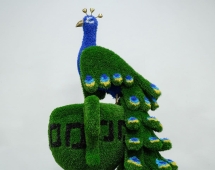 Топиари композиция Павлин на вазоне греческом - газон Eco Топиари композиция Павлин на вазоне греческом - газон Eco