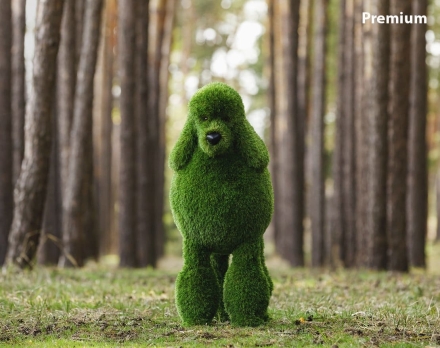 Топиари собака Пудель - газон Premium, фото 2