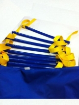 Скоростная лестница "SL 20" 9м.ФЛА.