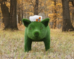 Топиари Поросенок в панаме / бант - газон Eco, фото 6