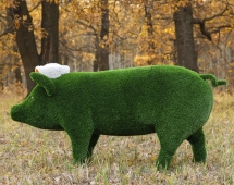 Топиари Поросенок в панаме / бант - газон Eco