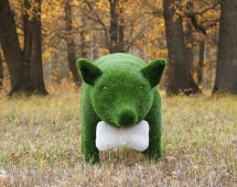 Топиари Поросенок в панаме / бант - газон Eco