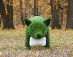 Топиари Поросенок в панаме / бант - газон Eco, фото 3