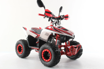 Квадроцикл MOTAX ATV Mikro 110cc