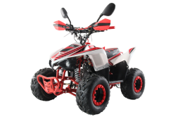 Квадроцикл MOTAX ATV Mikro 110cc, фото 1