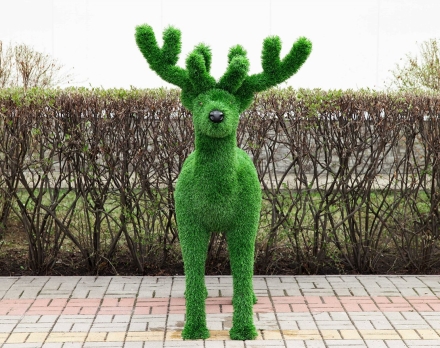 Топиари олень, малыш Орех - газон Eco, фото 7