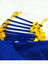 Скоростная лестница "SL 30" 14.5 м. ФЛА.