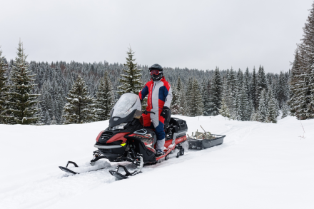 Снегоход AODES Snowcross 1000 WT, фото 21