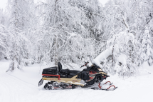 Снегоход AODES Snowcross 1000 WT