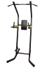 Изображение товара Стойка для подтягиваний DFC Athletic SJ600
