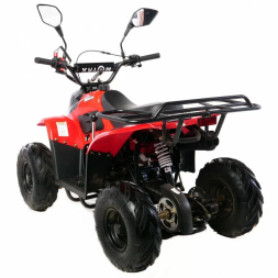 Квадроцикл MOTAX MIKRO 110 cc, фото 4