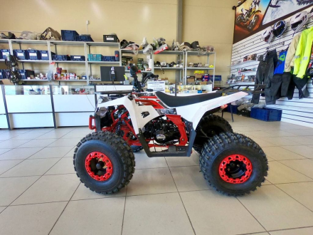 Квадроцикл ATV Commander 2 Cross, фото 4