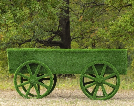 Топиари Телега - газон Eco, фото 2