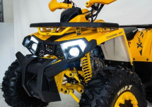 Квадроцикл MOTOLAND 125 Wild (2021 Г.)