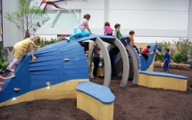 Детский игровой элемент Лохнесс Детский игровой элемент Лохнесс