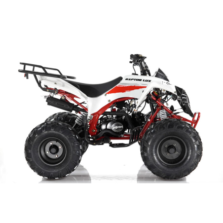 Квадроцикл бензиновый MOTAX ATV Raptor LUX 125 сс, фото 6