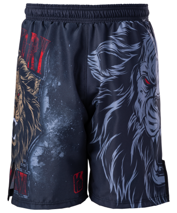Шорты для MMA Lion SH-101, взрослые, фото 2