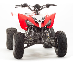 Квадроцикл MOTOLAND 125S (2020 Г.), фото 8