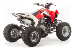 Квадроцикл MOTOLAND 125S (2020 Г.), фото 5