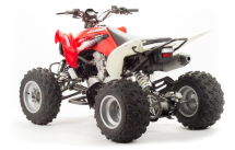 Квадроцикл MOTOLAND 125S (2020 Г.)