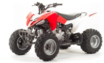 Квадроцикл MOTOLAND 125S (2020 Г.)