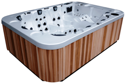 спа-бассейн Coast Spas Mirage, фото 2