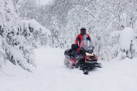 Снегоход AODES Snowcross 1000 SWT LTS, фото 22