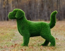 Топиари Собака охотничья газон Eco Топиари Собака охотничья газон Eco