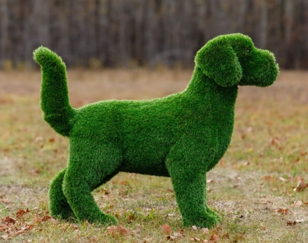 Топиари Собака охотничья газон Eco, фото 17