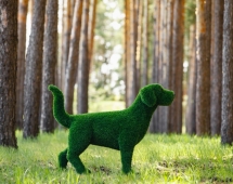 Топиари Собака охотничья газон Eco Топиари Собака охотничья газон Eco