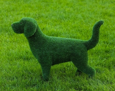 Топиари Собака охотничья газон Eco, фото 6