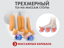 Массажное кресло FUJIMO 氣 FLEXOR F500 Brown