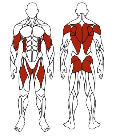 Гребля (зеленый) - Уличный тренажер - СТ 008-12.П, фото 6