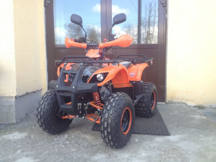 Квадроцикл ATV Termit Libre, фото 2