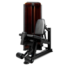 Разгибание ног профессиональный BRONZE GYM PARTNER ML-801, фото 1