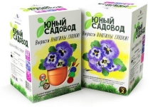 Юный садовод. Вырасти анютины глазки Юный садовод. Вырасти анютины глазки