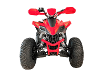 Квадроцикл YACOTA Typhoon 250LD