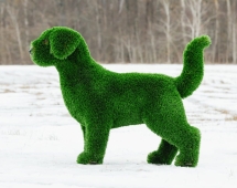 Топиари Собака охотничья газон Premium Топиари Собака охотничья газон Premium