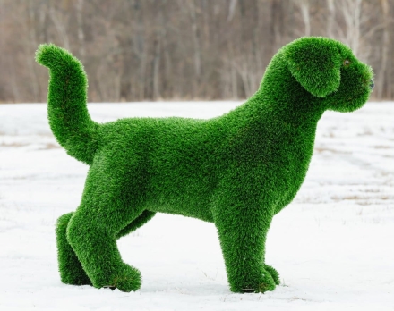 Топиари Собака охотничья газон Premium, фото 8