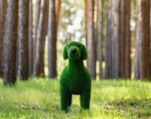 Топиари Собака охотничья газон Premium Топиари Собака охотничья газон Premium