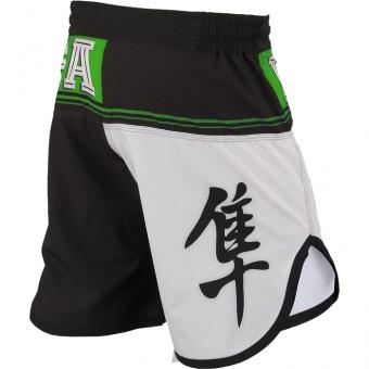 Шорты Hayabusa hayshorts039, фото 2