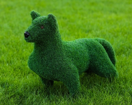 Топиари Собака Бультерьер - газон Eco, фото 1