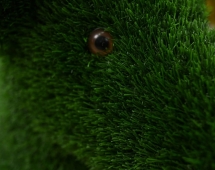 Топиари Собака Бультерьер - газон Eco Топиари Собака Бультерьер - газон Eco