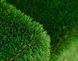 Топиари Диван - газон Eco , фото 10