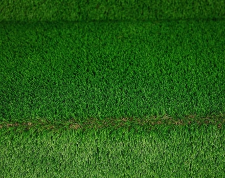 Топиари Диван - газон Eco , фото 9